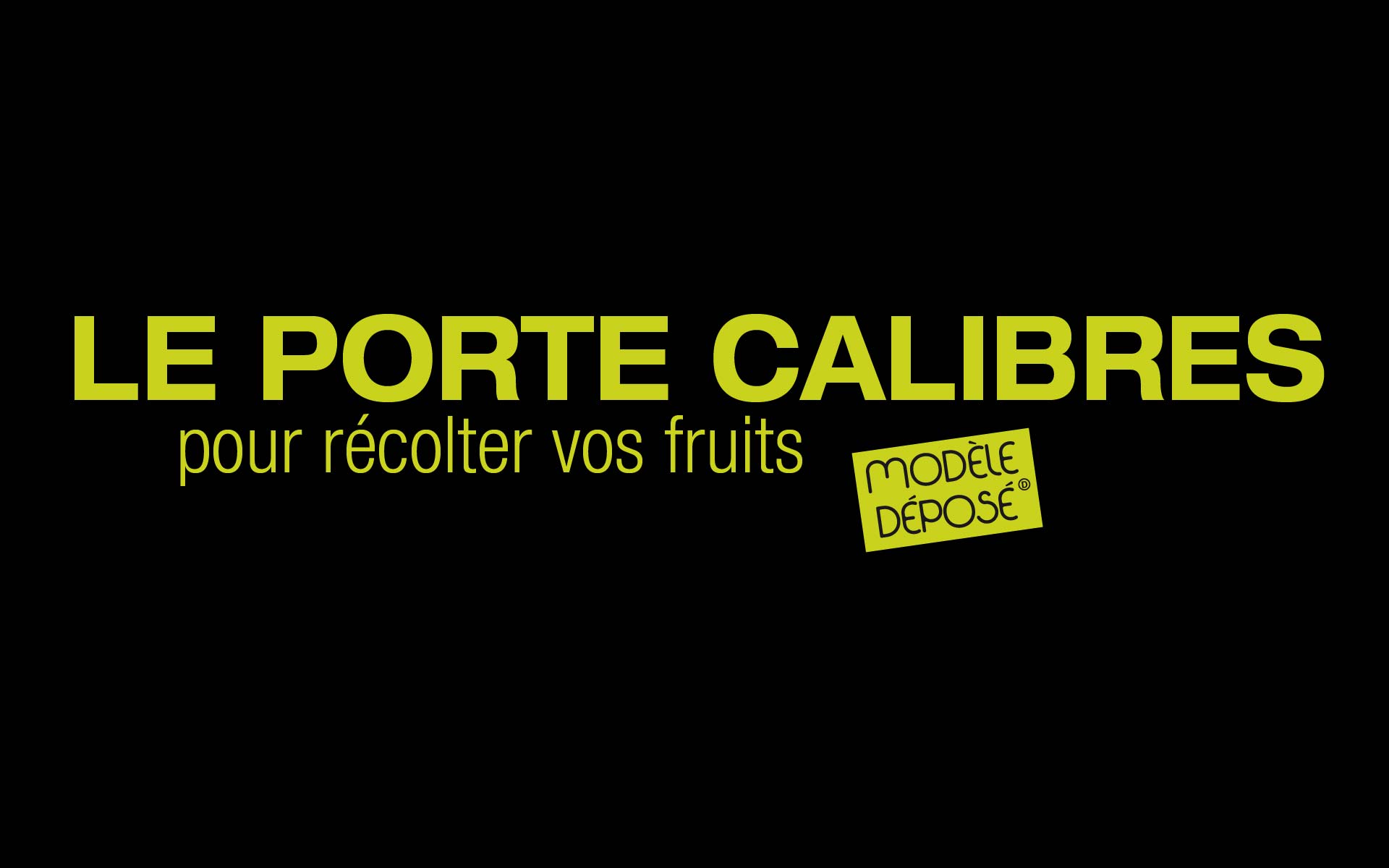 calibratrice frutta