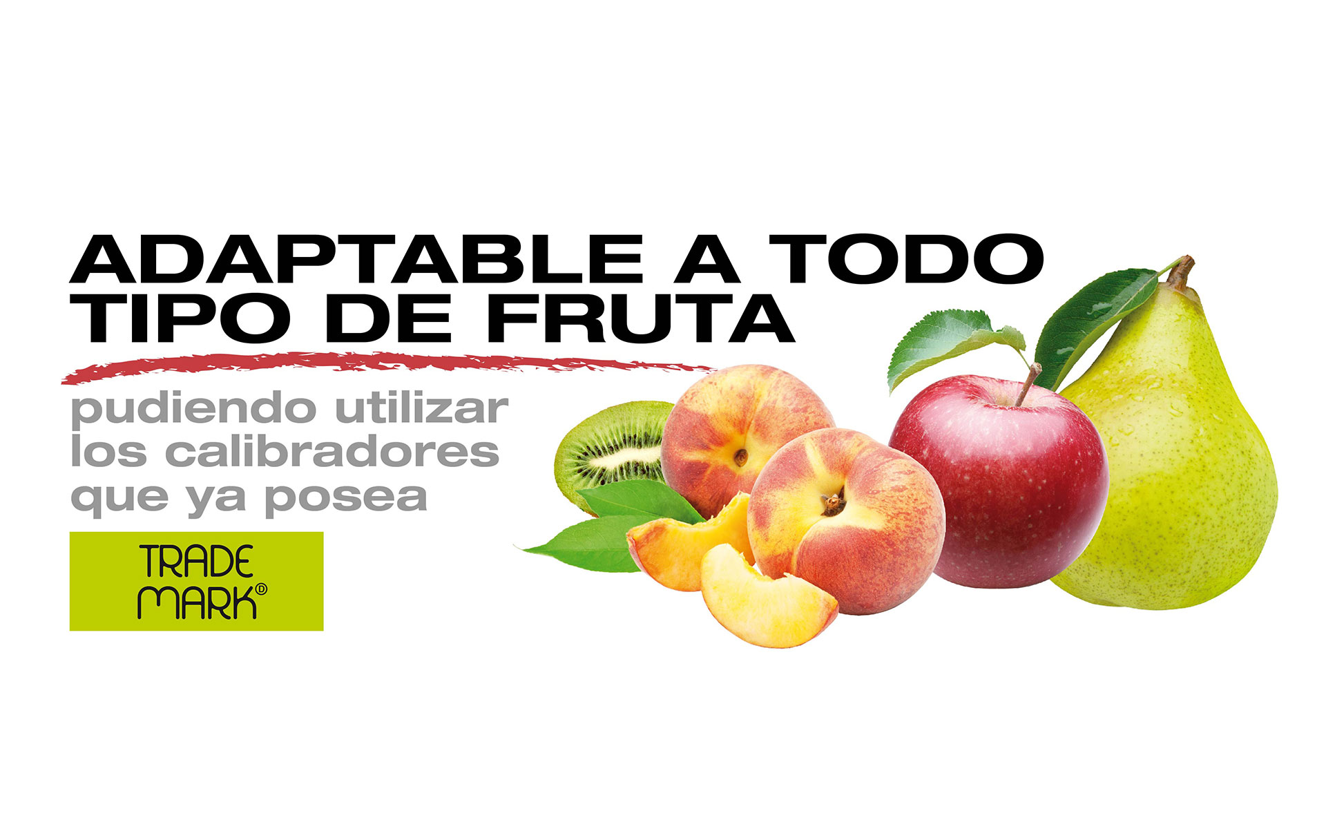 calibrazione frutta